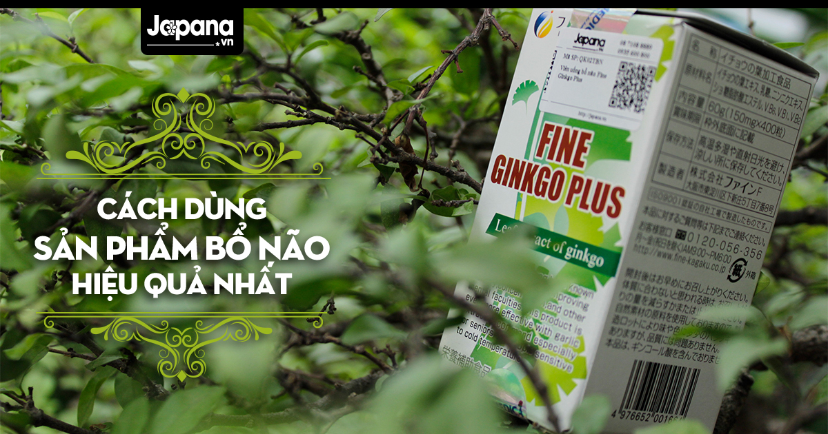 Làm sao để sử dụng thuốc bổ não an toàn và hiệu quả nhất ?