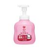 Sữa tắm Nhật Bản Arau Baby dạng bình 450ml