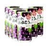 Combo 6 lon nước ép trái cây cô đặc 100% Sangaria 190g