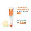 Gel làm mờ thâm và sẹo Acnes Scar Care 12g