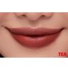 Son lì 2 đầu mịn mượt lâu trôi Lemonade Perfect Couple Lip Version 2 7.5g