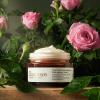 Kem dưỡng ẩm dạng thạch chiết xuất hoa hồng Cocoon Rose Aqua Gel Cream 30ml/100ml