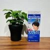 Nhuộm tóc phủ bạc dành cho nam Hoyu Men’S Bigen 80g (Nội Địa Nhật)