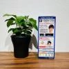 Nhuộm tóc phủ bạc dành cho nam Hoyu Men’S Bigen 80g (Nội Địa Nhật)