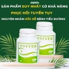 Viên uống hỗ trợ điều trị tiểu đường Kikuimo Seikatsu 450 viên (Date 10/25)