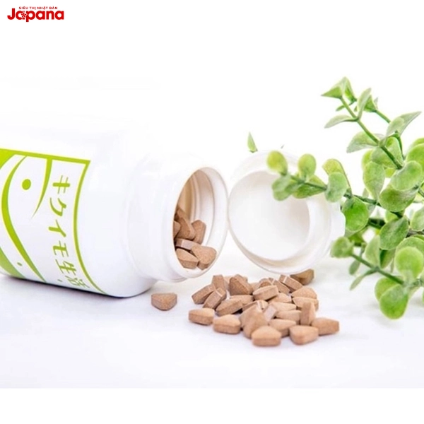 Viên uống hỗ trợ điều trị tiểu đường Kikuimo Seikatsu 450 viên (Date 10/25)