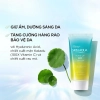 Kem chống nắng Rohto Skin Aqua Tone Up UV Essence SPF50+ PA++++ 80g dành cho da nhạy cảm ( xanh vàng )