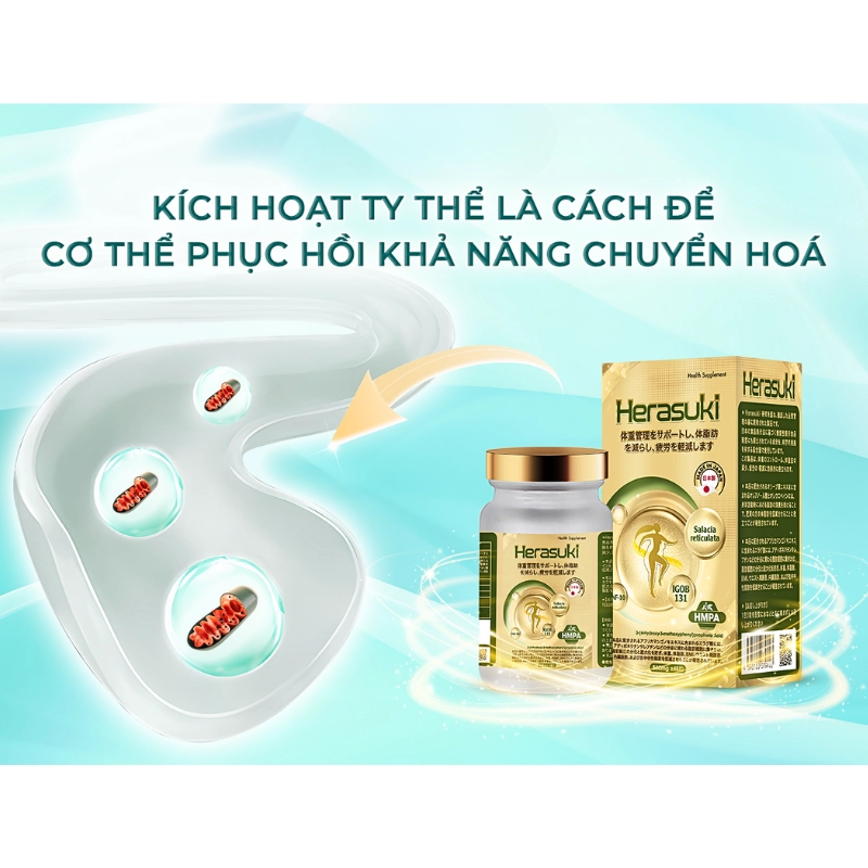 Viên uống hỗ trợ giảm nguy cơ béo phì Herasuki 45 viên