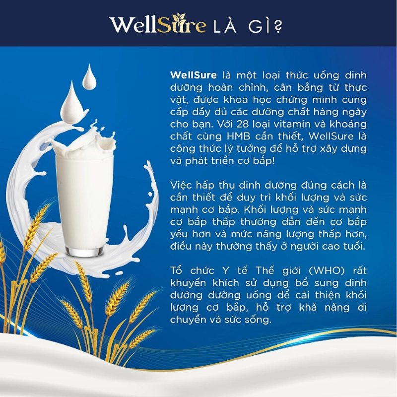 Sữa dinh dưỡng phục hồi và tăng cường sức khoẻ Kinohimitsu Wellsure