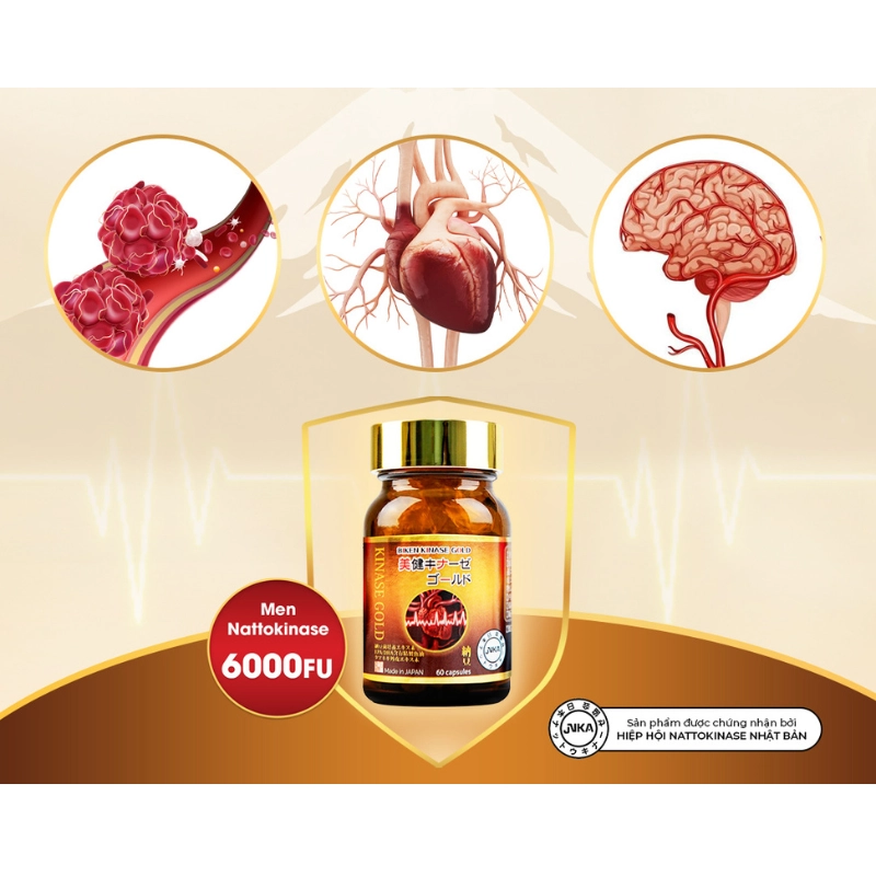 Viên uống phòng ngừa & hỗ trợ điều trị đột quỵ Biken Kinase Gold 20 viên