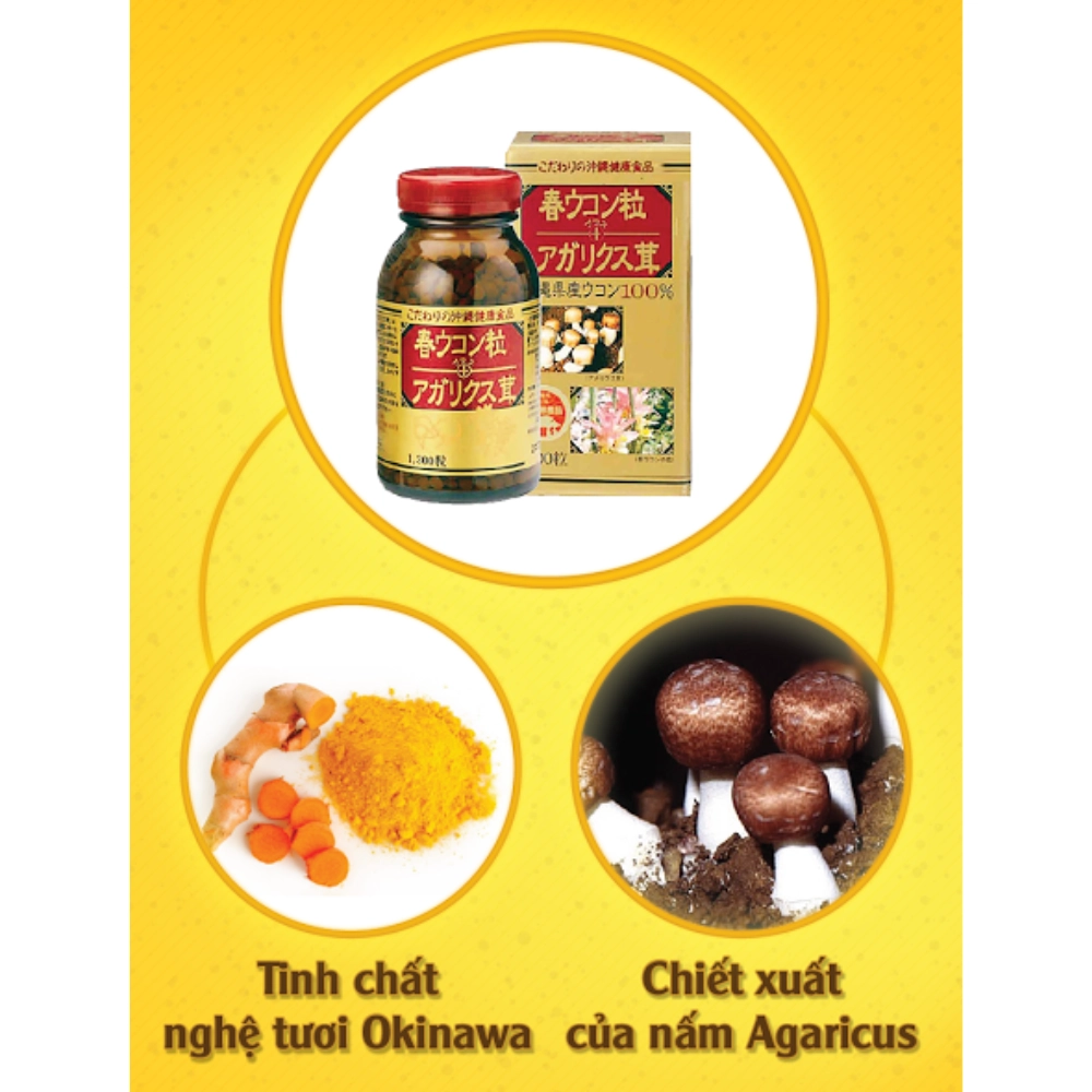 Viên uống tinh chất nghệ hỗ trợ điều trị ung thư Spring Turmeric và nấm Agaricus - 1300 viên