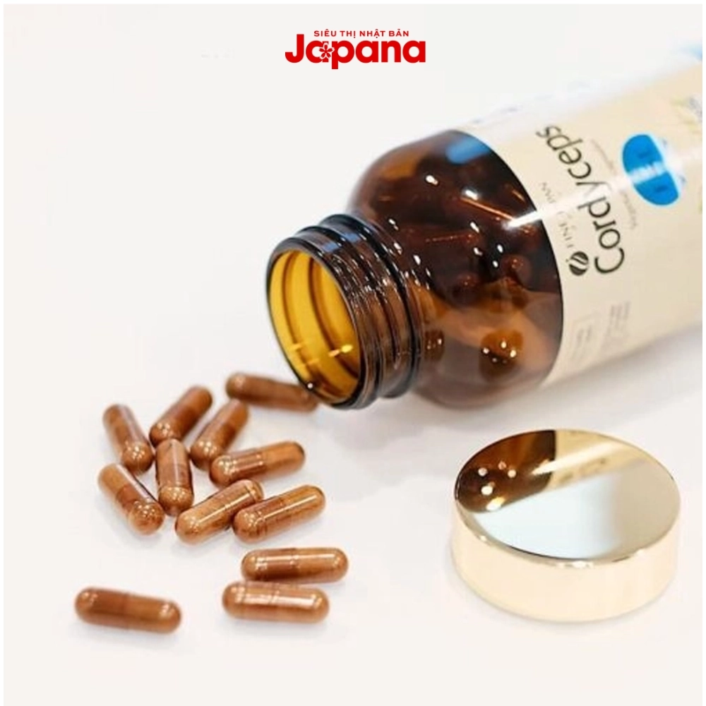 Combo 3 Hộp Đông trùng hạ thảo Fine Japan Cordyceps 120 viên