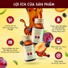 Nước uống hỗ trợ thải độc cơ thể Kinohimitsu D Tox Plum Juice (Hộp 6 chai x 30ml)