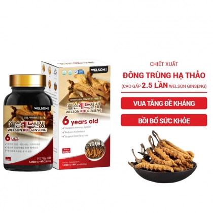 Combo 4 Viên uống Hồng Sâm Hàn Quốc 6 năm tuổi Welson Red Ginseng 60 viên