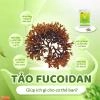 Viên uống hỗ trợ hệ tiêu hóa Ventuno Kaicho Herb Lactic Acid Bacteria - 248 viên