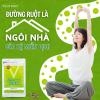 Viên uống hỗ trợ hệ tiêu hóa Ventuno Kaicho Herb Lactic Acid Bacteria - 124 viên