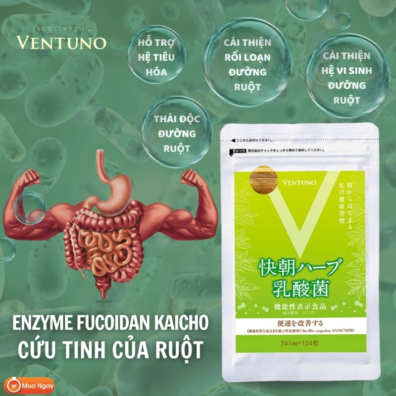 Viên uống hỗ trợ hệ tiêu hóa Ventuno Kaicho Herb Lactic Acid Bacteria - 248 viên