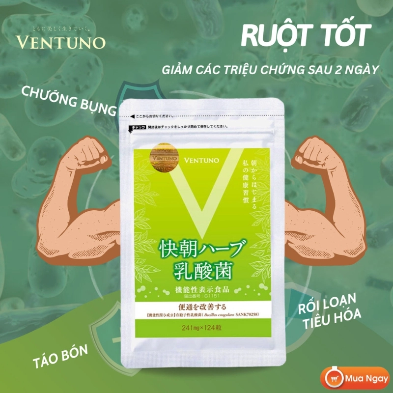 Viên uống hỗ trợ hệ tiêu hóa Ventuno Kaicho Herb Lactic Acid Bacteria - 248 viên
