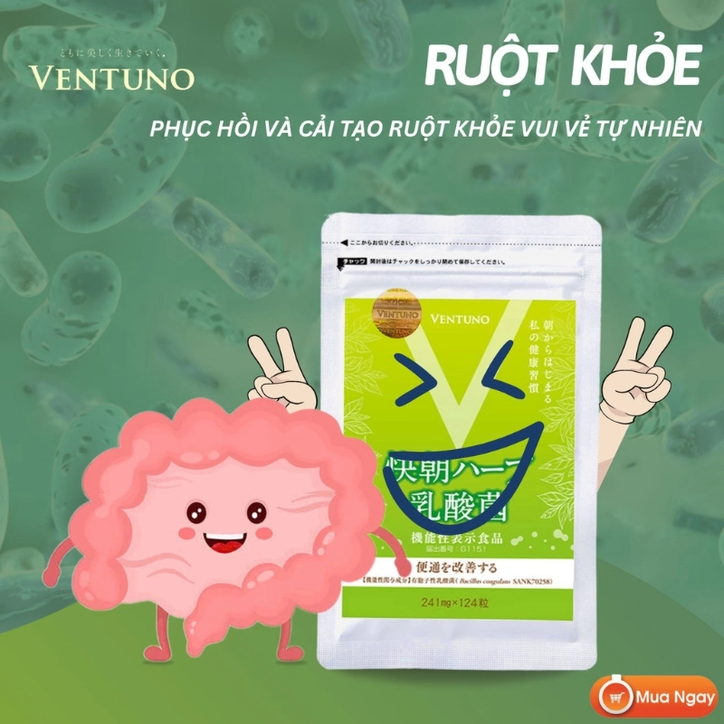 Viên uống hỗ trợ hệ tiêu hóa Ventuno Kaicho Herb Lactic Acid Bacteria - 248 viên
