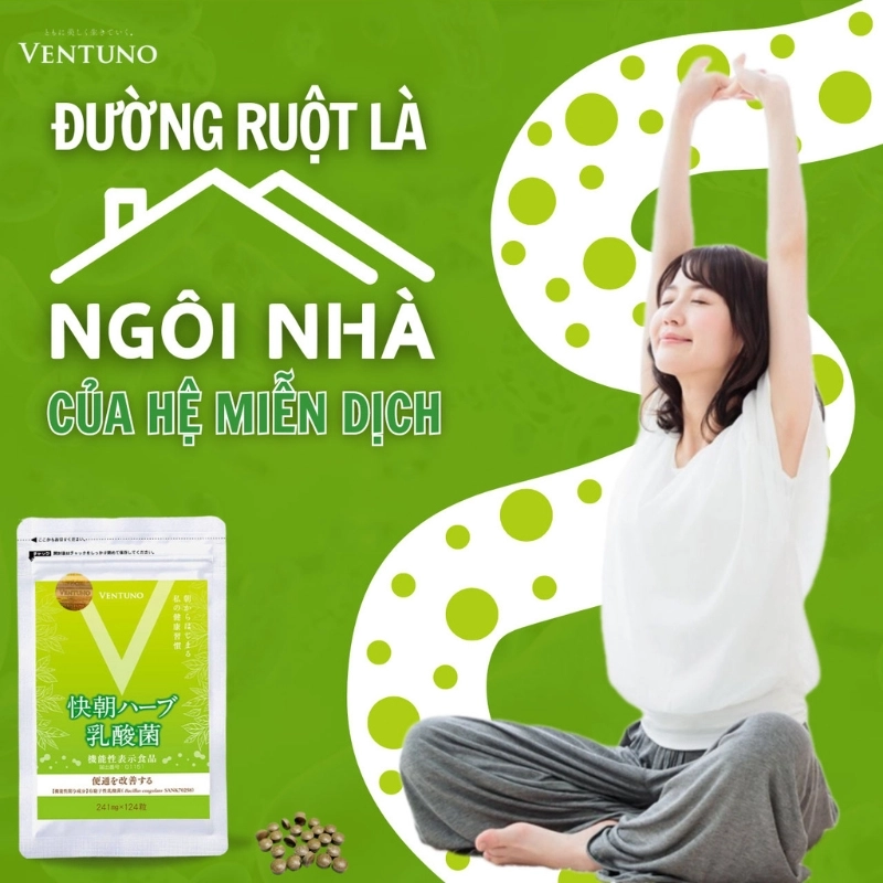 Viên uống hỗ trợ hệ tiêu hóa Ventuno Kaicho Herb Lactic Acid Bacteria - 248 viên