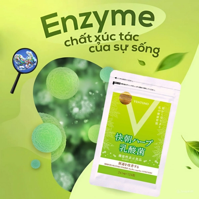 Viên uống hỗ trợ hệ tiêu hóa Ventuno Kaicho Herb Lactic Acid Bacteria - 248 viên