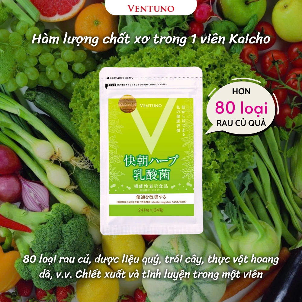 Viên uống hỗ trợ hệ tiêu hóa Ventuno Kaicho Herb Lactic Acid Bacteria - 24 viên - Date 11/2026
