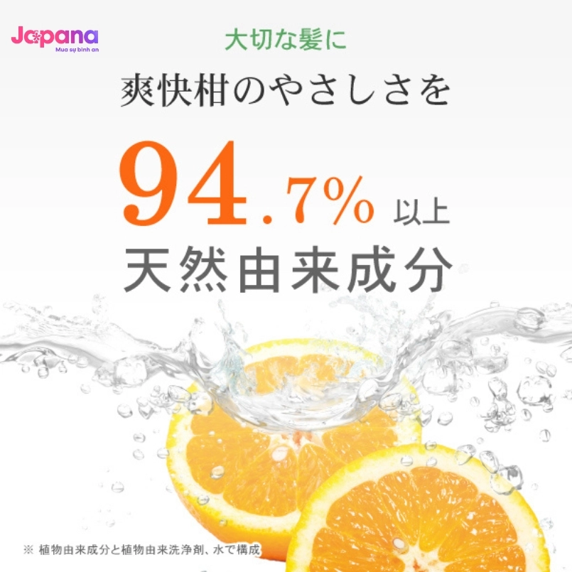 Dầu gội làm sạch bã nhờn, vảy gàu Soukaikan Amino Acid Shampoo - 500ml