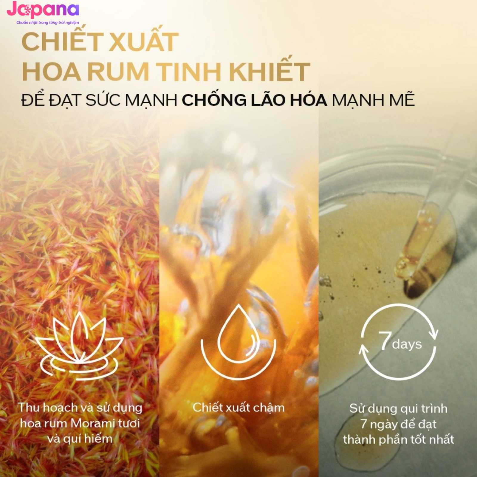 Kem Shiseido Vital Perfection Uplifting And Firming Cream