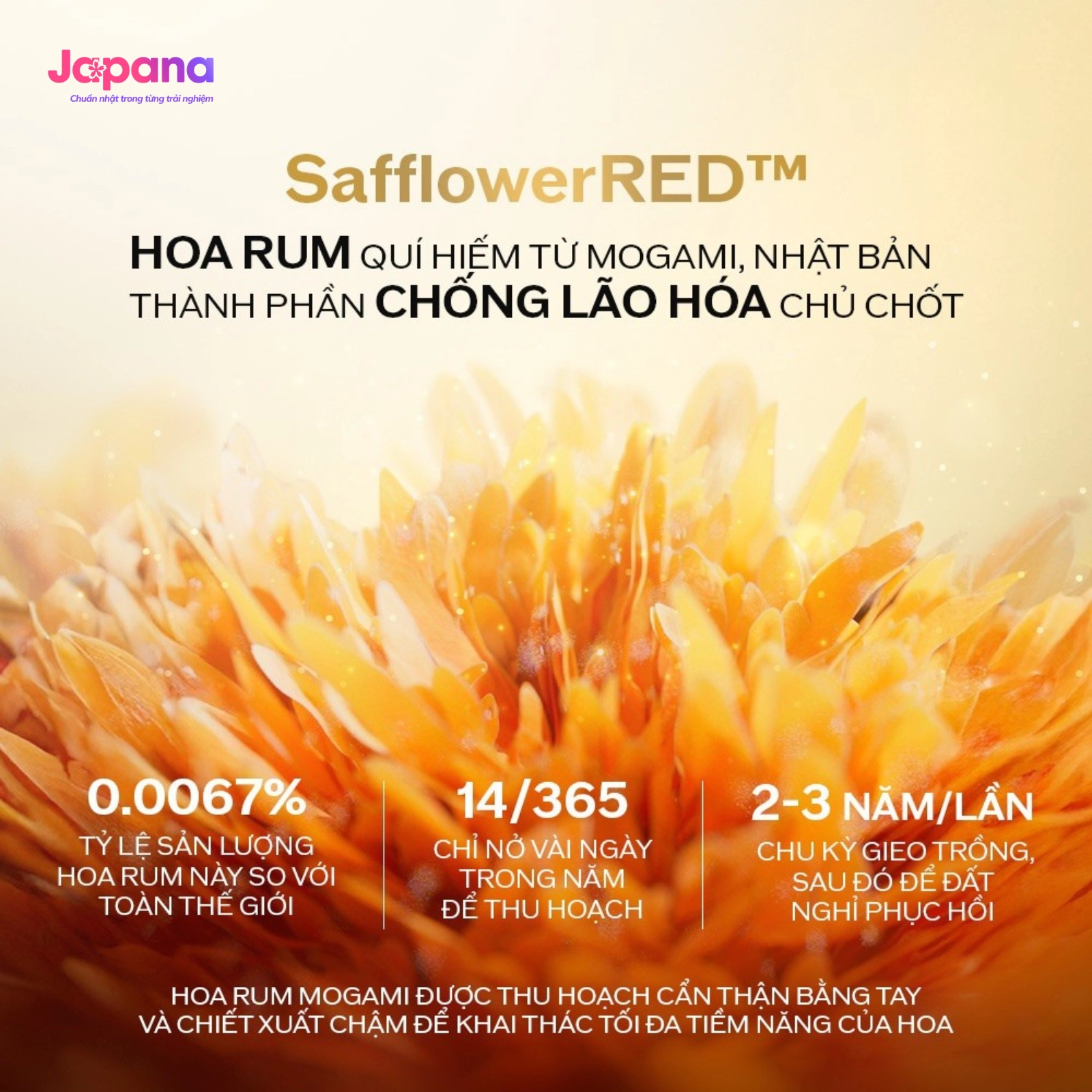 Kem dưỡng da chống lão hóa Shiseido Vital-Perfection Uplifting and Firming Advanced Cream 50ml