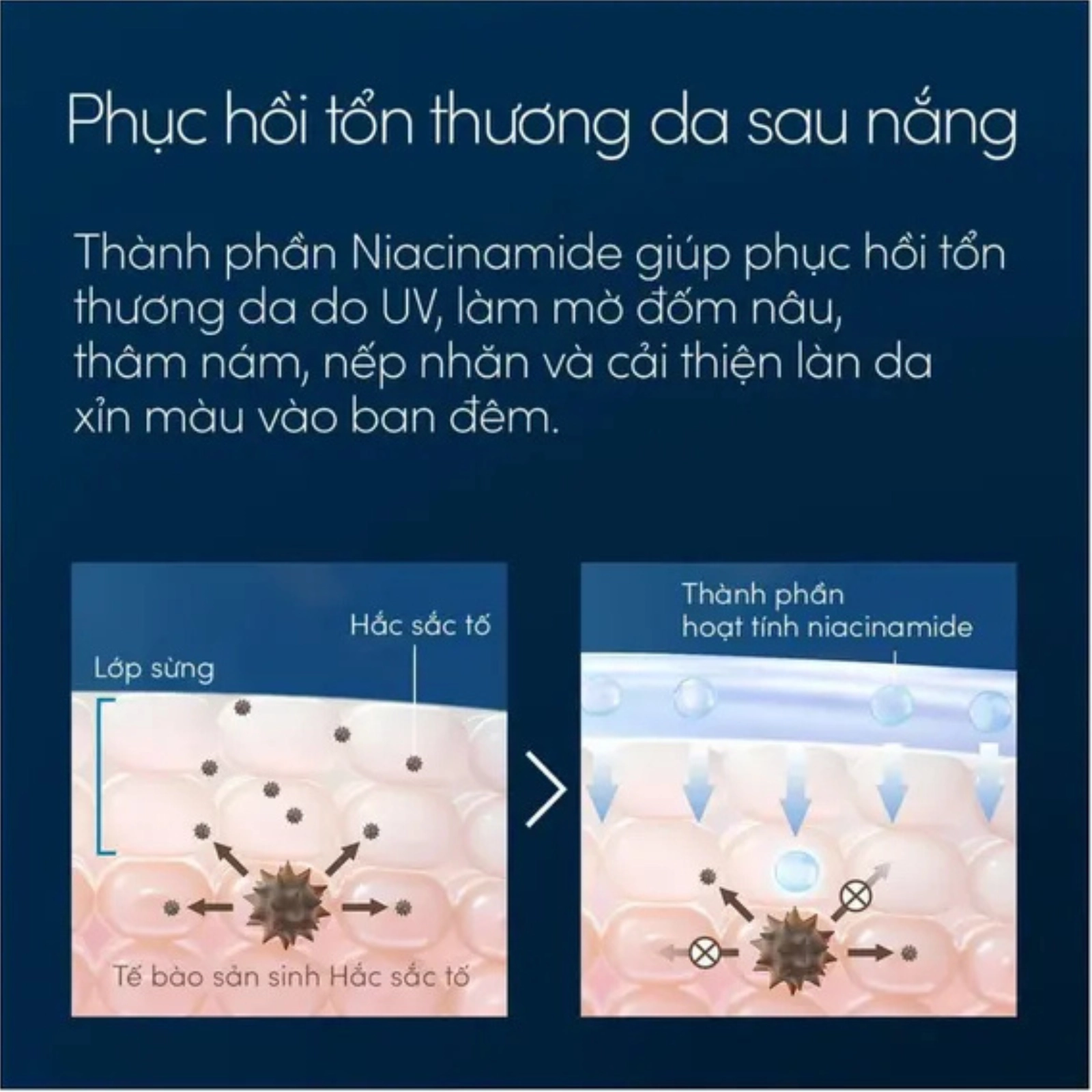 Serum dưỡng sáng và phục hồi da sau nắng Anessa Night Sun Care Serum - 180ml