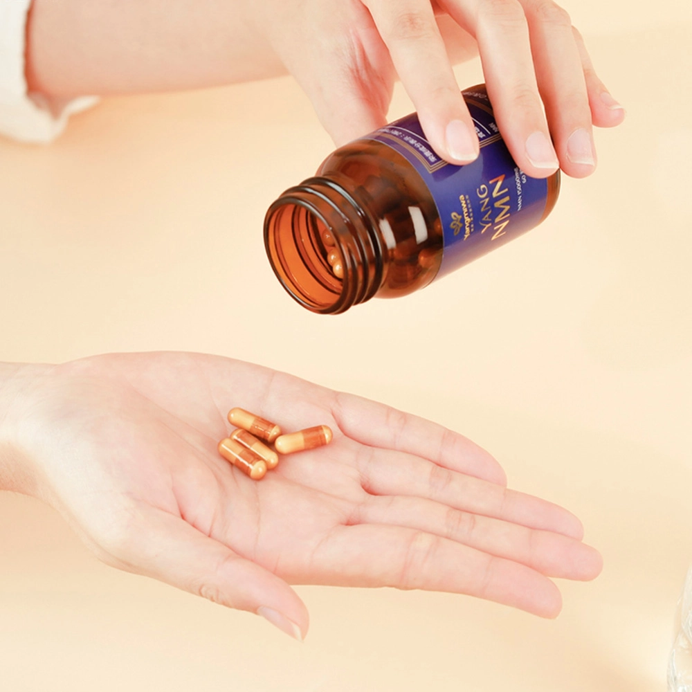 Combo 3 hộp viên uống chống lão hóa, tăng sức khỏe Yang NMN 60 viên