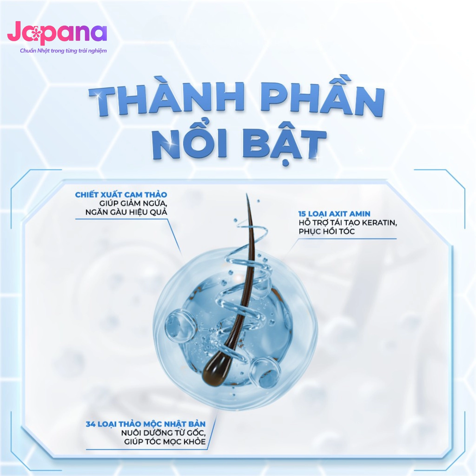 Dầu gội làm sạch bã nhờn, vảy gàu Soukaikan Amino Acid Shampoo - 500ml