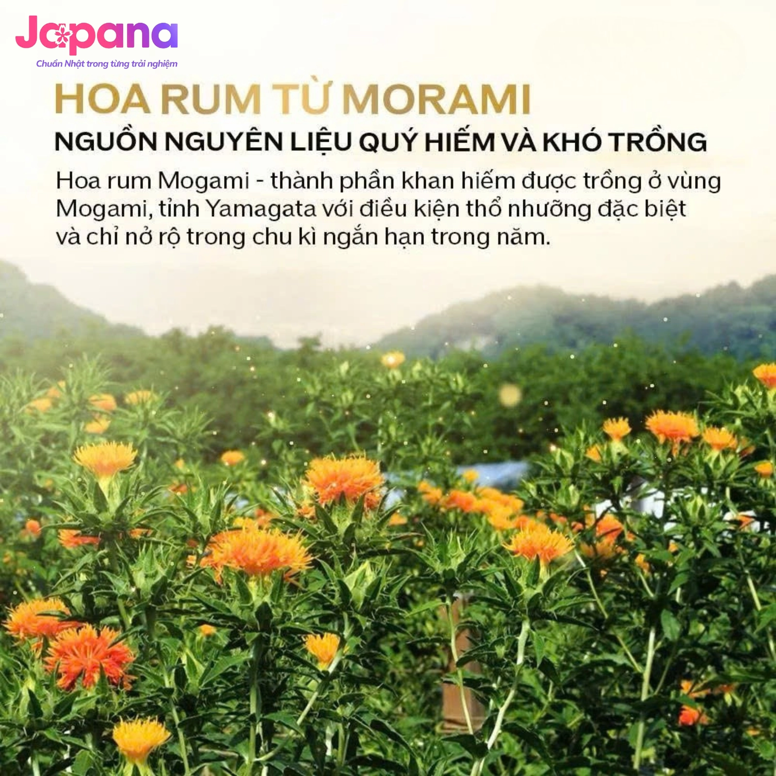 Kem dưỡng mắt Shiseido Uplifting and Firming Eye Cream 15ml