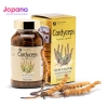 Viên uống đông trùng hạ thảo tăng cường hệ miễn dịch, cải thiện trí nhớ Fine Japan Cordyceps - 120 viên