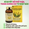 Viên uống đông trùng hạ thảo tăng cường hệ miễn dịch, cải thiện trí nhớ Fine Japan Cordyceps - 120 viên