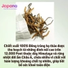 Viên uống đông trùng hạ thảo tăng cường hệ miễn dịch, cải thiện trí nhớ Fine Japan Cordyceps - 120 viên