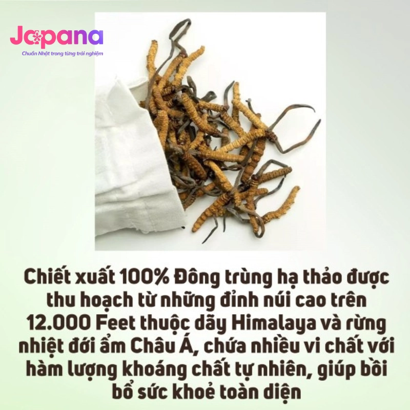 Combo 6 hộp Đông trùng hạ thảo Fine Japan Cordyceps 120 viên