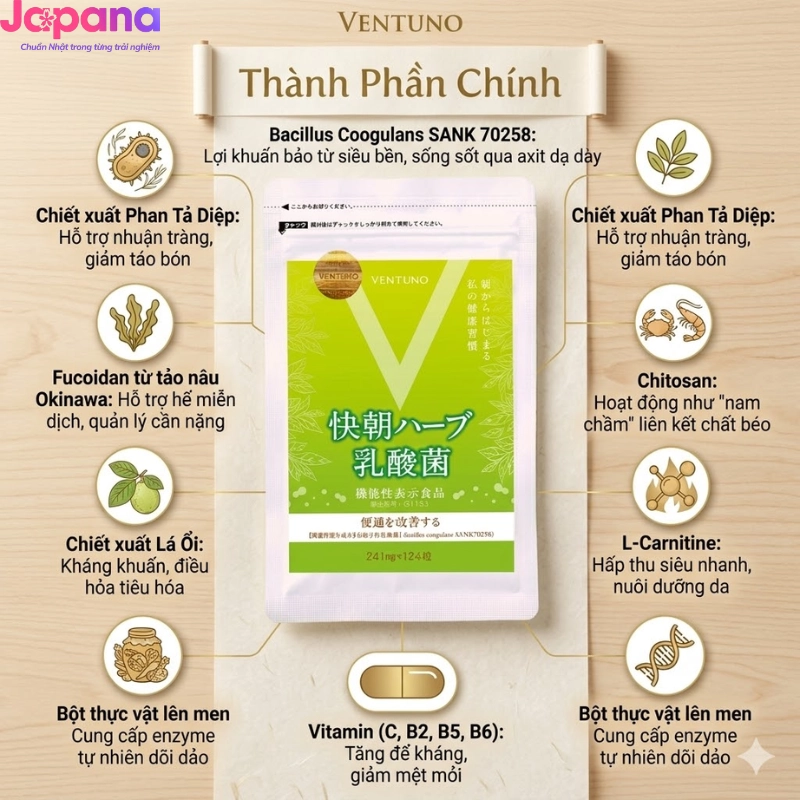 Viên uống hỗ trợ hệ tiêu hóa Ventuno Kaicho Herb Lactic Acid Bacteria - 124 viên