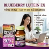 Viên uống bổ mắt Noguchi Blueberry Lutein EX 60 viên