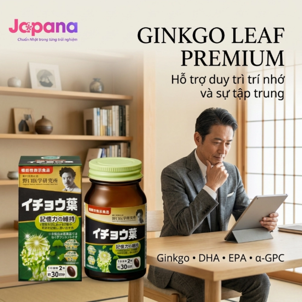 Viên uống bổ não giúp tập trung, cải thiện trí nhớ và phục hồi tế bào não Noguchi Ginkgo Leaf 60 viên