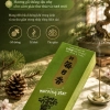 Hương Nippon Kodo Morning Star Pine 200 que (Hương gỗ thông)