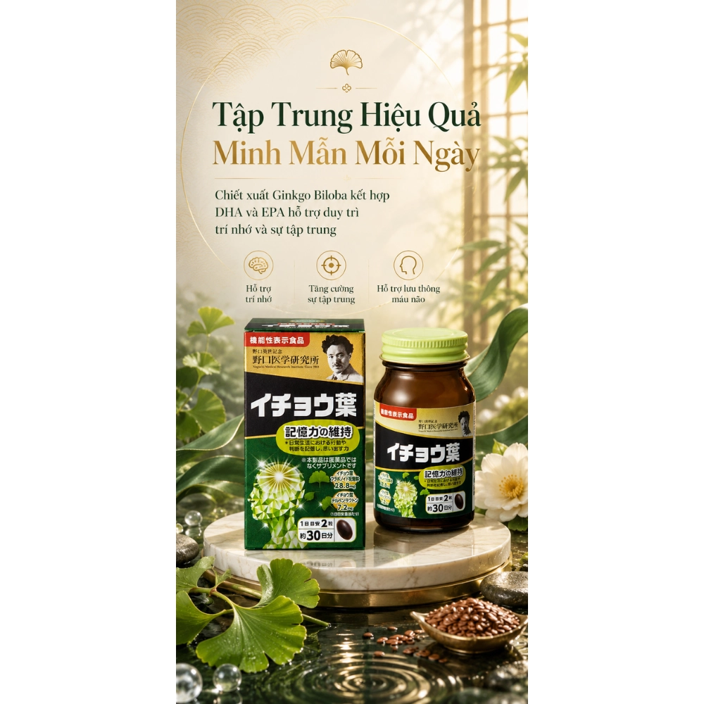 Viên uống bổ não giúp tập trung, cải thiện trí nhớ và phục hồi tế bào não Noguchi Ginkgo Leaf 60 viên