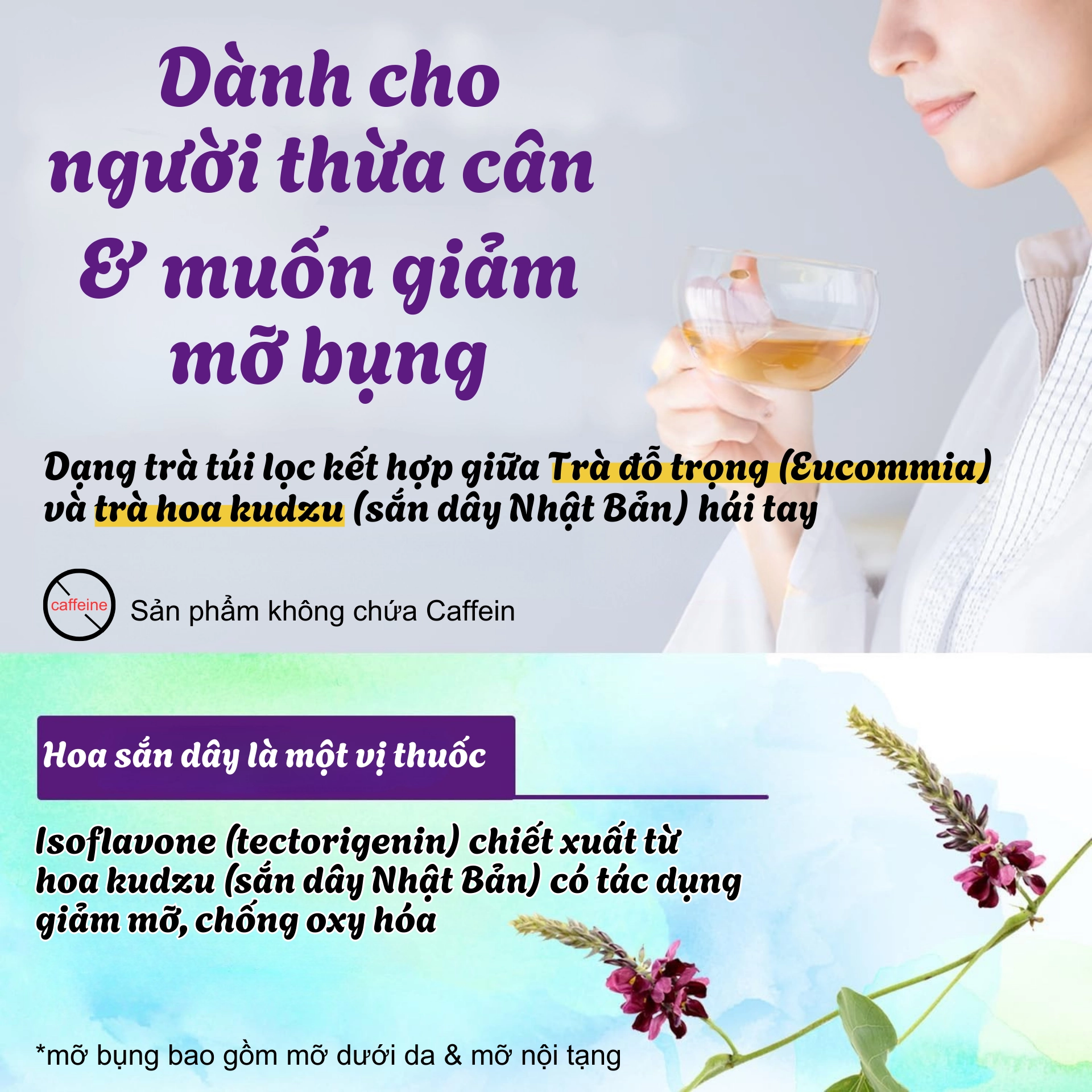 Trà Eucommia và Kudzu Flower Plus 20 gói