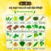 Viên uống 25 loại rau củ quả Nihon Yakken bổ sung vitamin và khoáng chất 60 viên