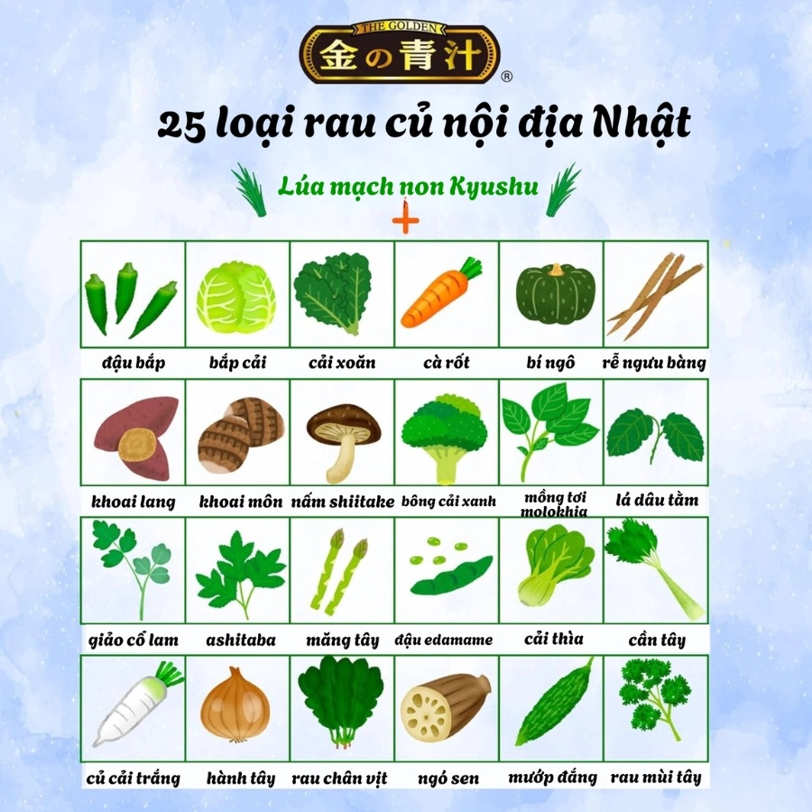 Viên uống 25 loại rau củ quả Nihon Yakken bổ sung DHA/EPA 60 viên