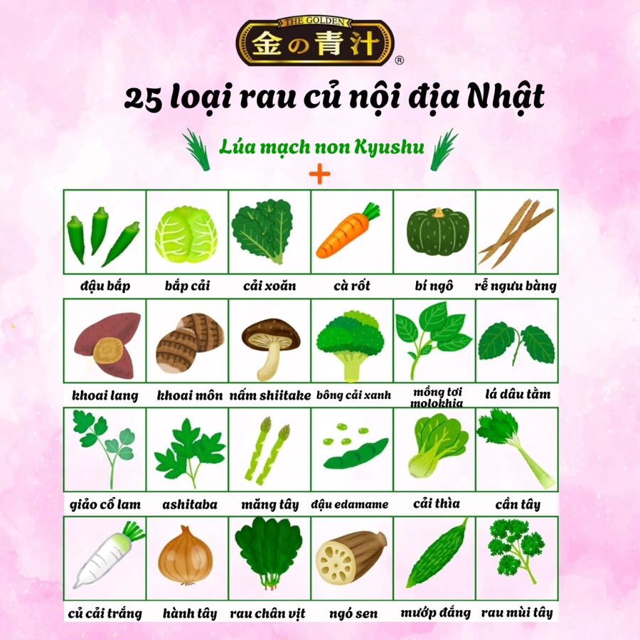 Viên uống 25 loại rau củ quả Nihon Yakken bổ sung lợi khuẩn Butyric 60 viên