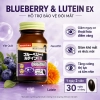 Viên uống bổ mắt Noguchi Blueberry Lutein EX 60 viên