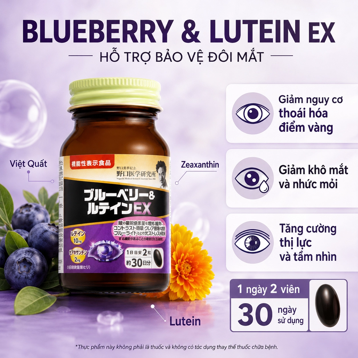 Viên uống bổ mắt Noguchi Blueberry Lutein EX 60 viên
