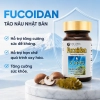 Combo 6 hộp Viên uống hỗ trợ điều trị ung thư Fine Japan Fucoidan - 30 viên						
