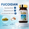 Combo 6 hộp Viên uống hỗ trợ điều trị ung thư Fine Japan Fucoidan - 30 viên						
